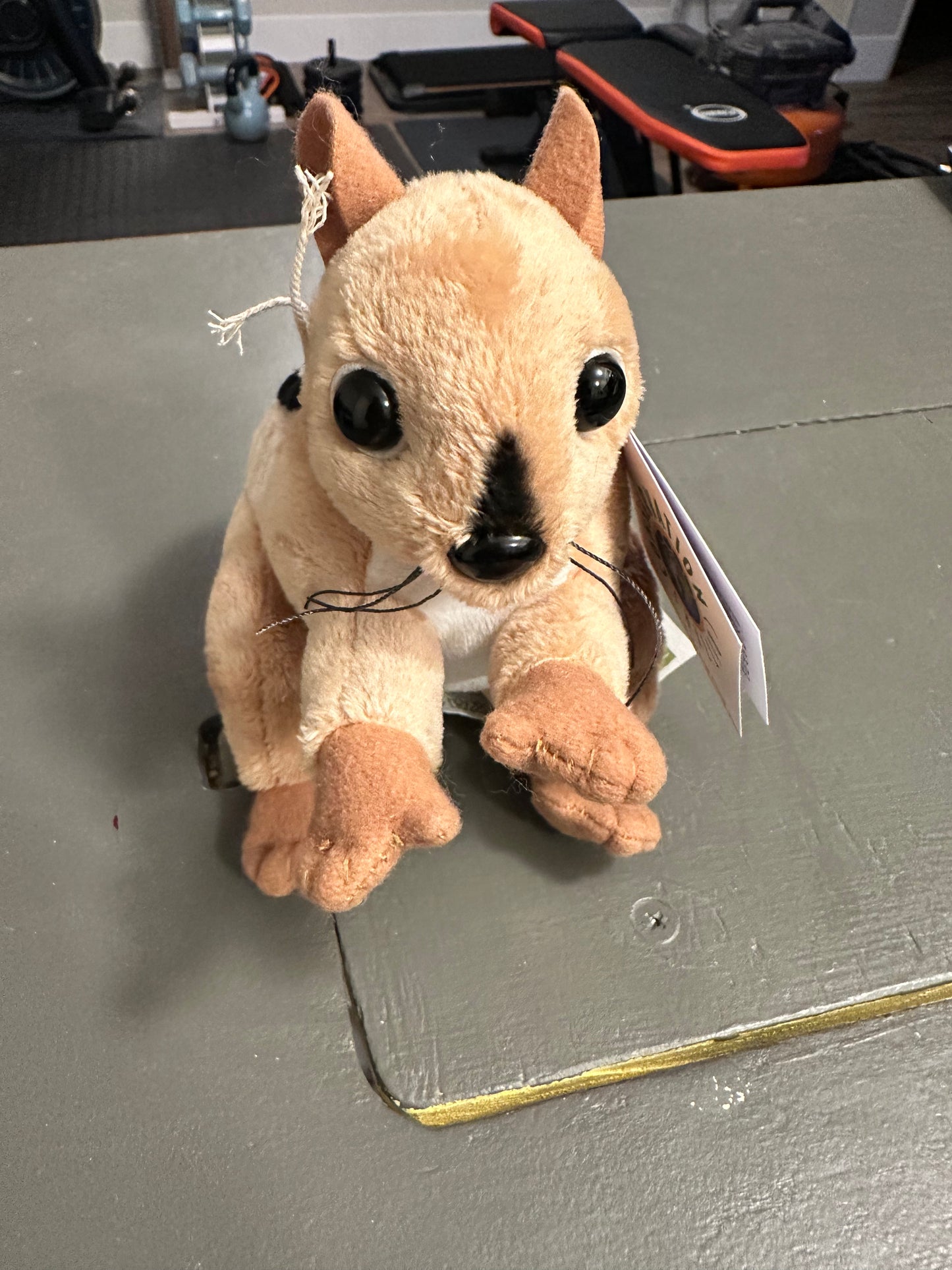 Stuffed Animal-Chipmunk