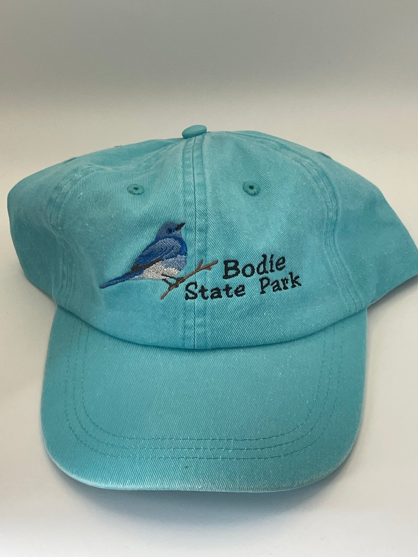 Hat- Blue Bird