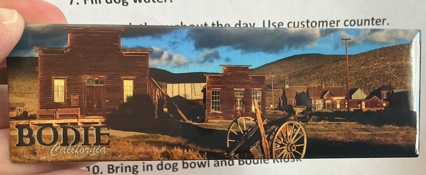 Magnet- Museum/Morgue Pano