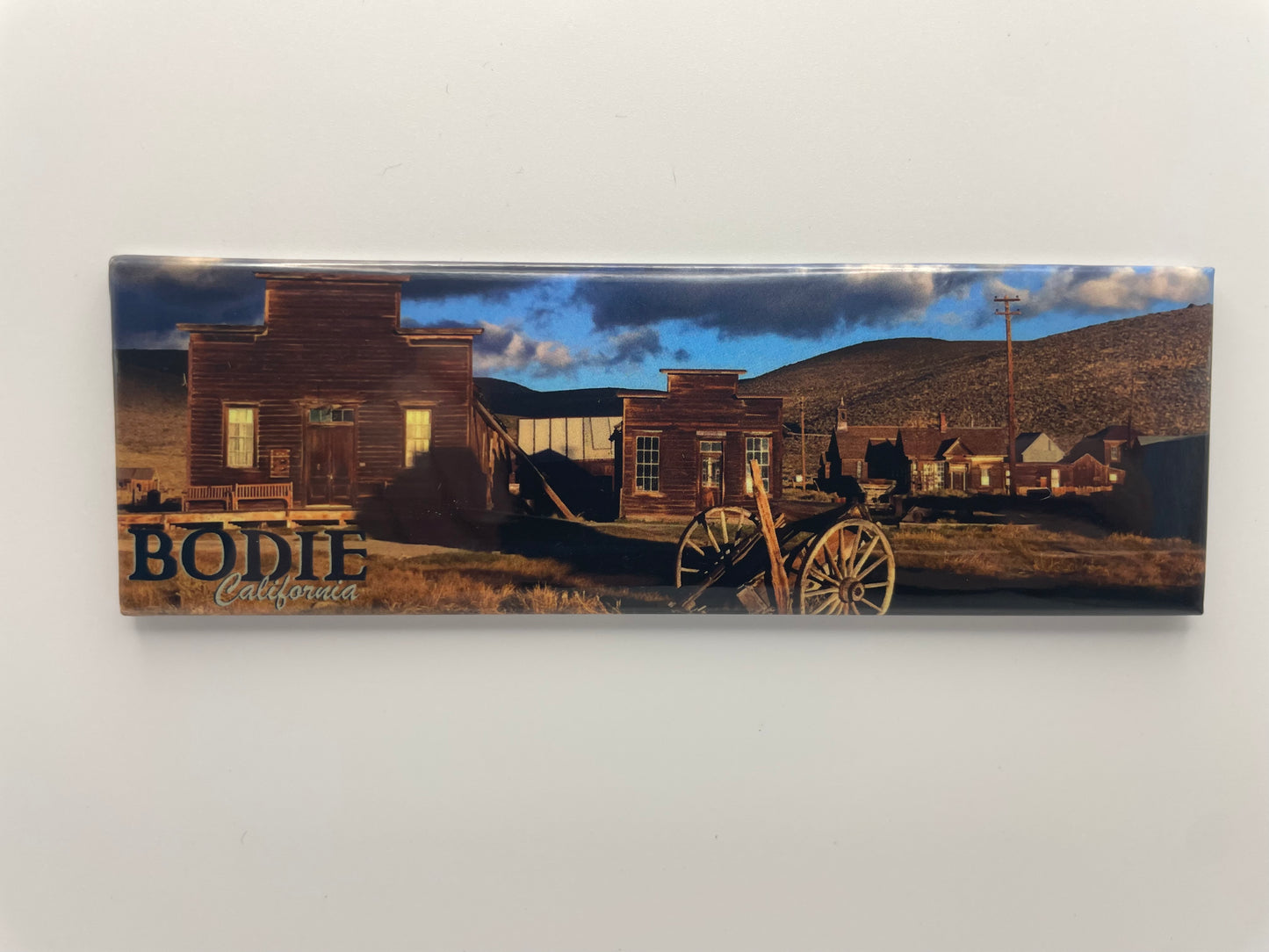 Magnet- Museum/Morgue Pano